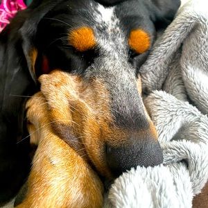 Bundle items in my closet for a discount 🙌🏼✅ l